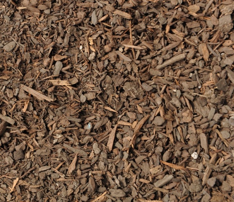 Fir Bark From The Worm Farm