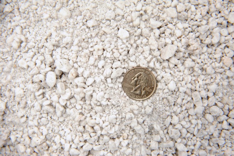 Perlite From The Worm Farm