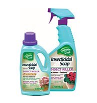 Insecticidal Soap Garden Safe From The Worm Farm
